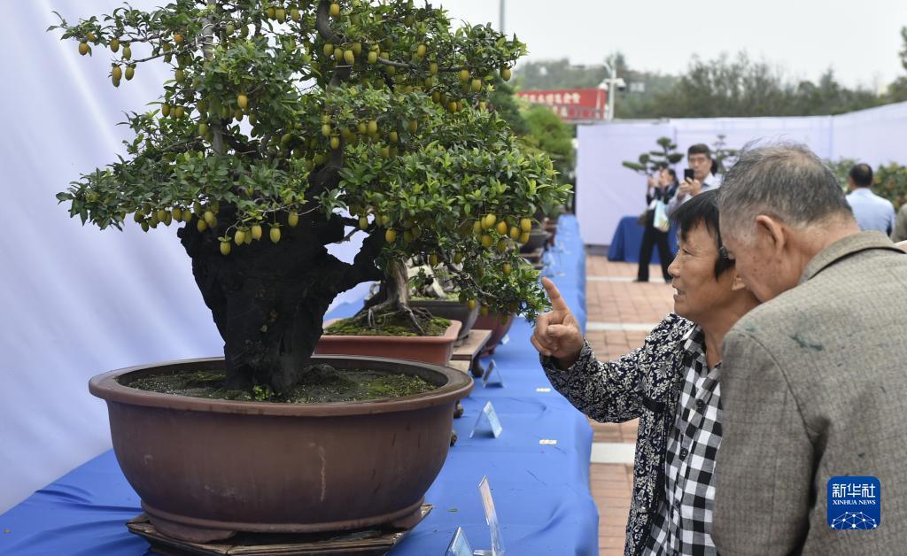 玛丽水果机手机版
